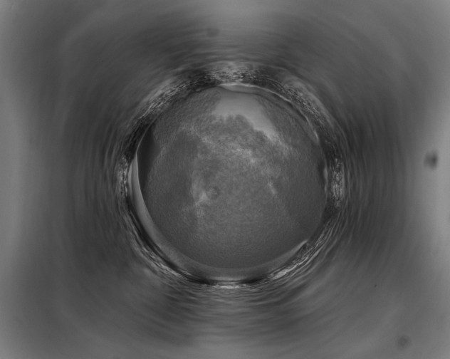 X0000098170332200804241201