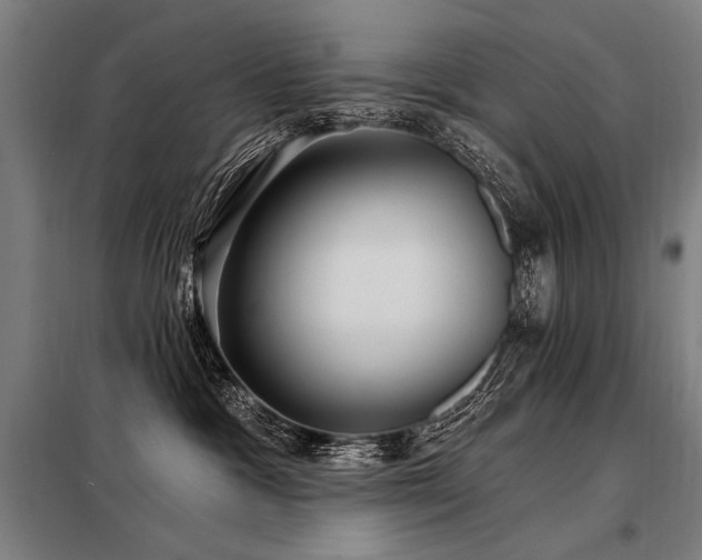 X0000098170333200804241201