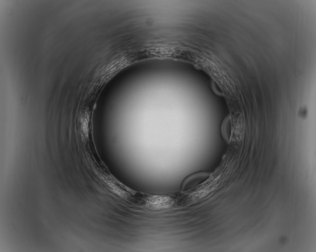 X0000098170334200804241201