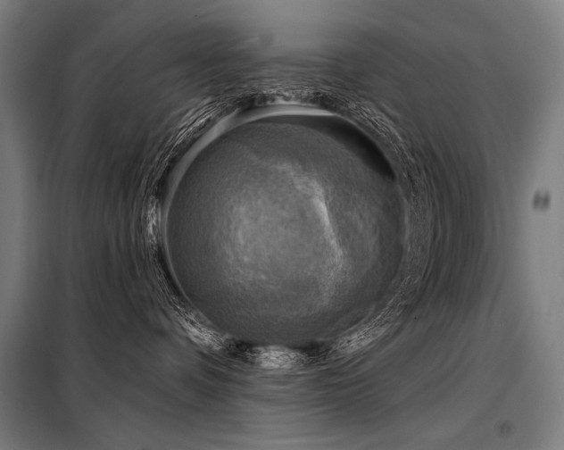 X0000098170336200804241201