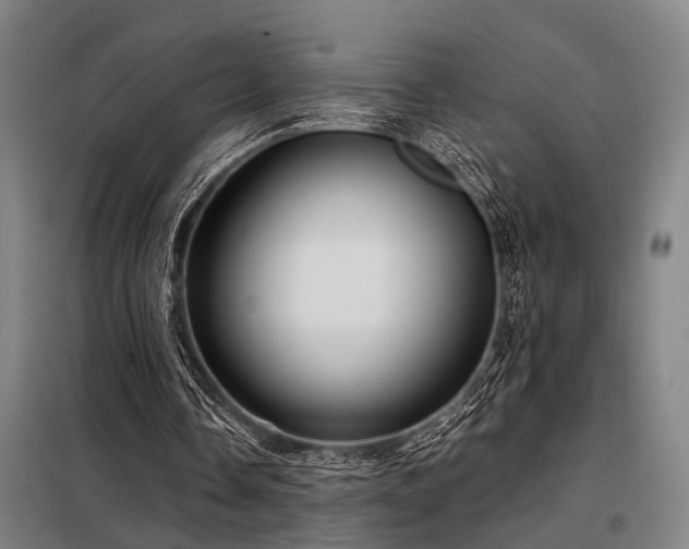 X0000098170338200804241200