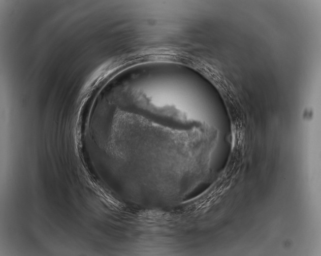 X0000098170339200804241200