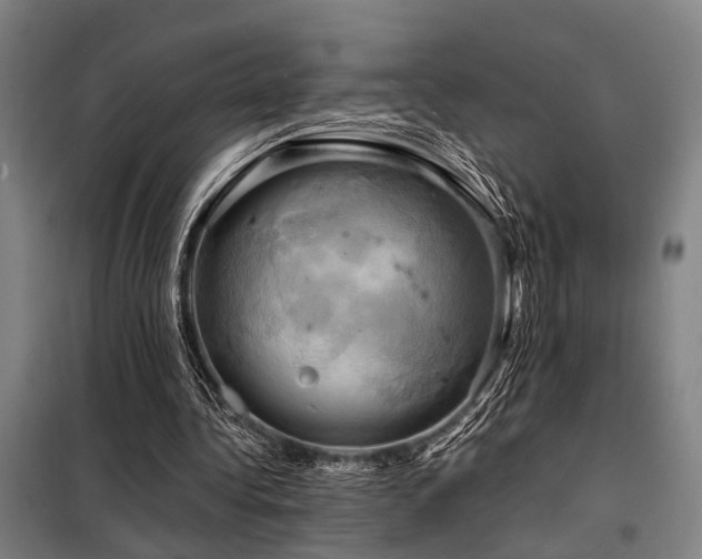 X0000098170340200804241201