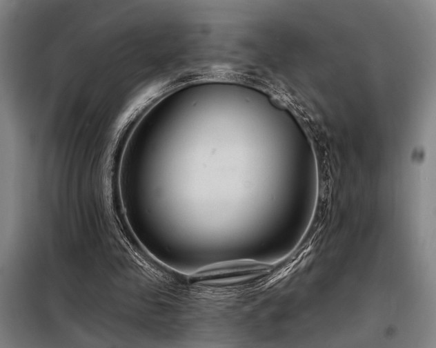 X0000098170341200804241201