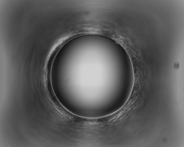 X0000098170342200804241201