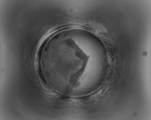 X0000098170343200804241201