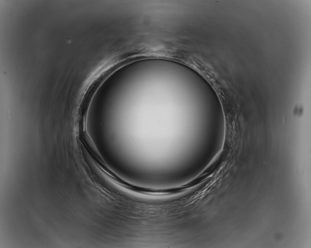 X0000098170344200804241201