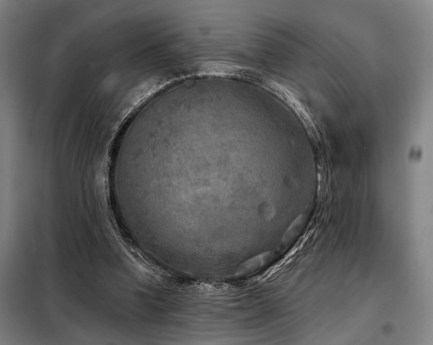 X0000098170346200804241201