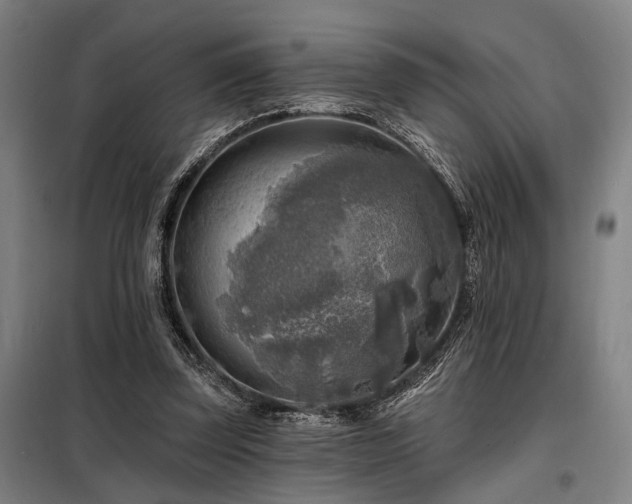 X0000098170347200804241201