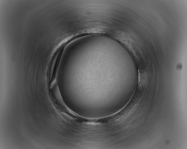 X0000098170348200804241201