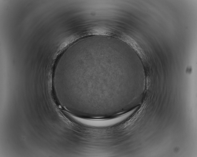 X0000098170349200804241201