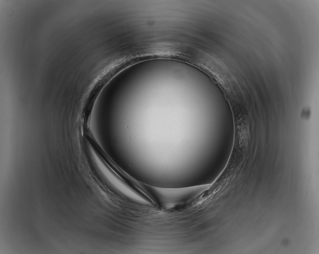 X0000098170350200804241201