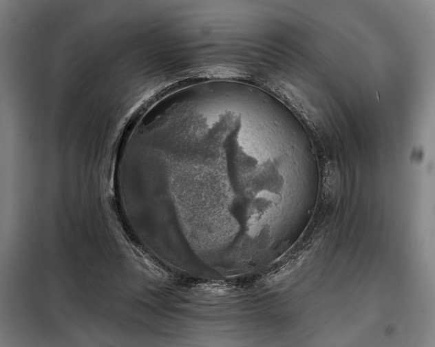 X0000098170351200804241201