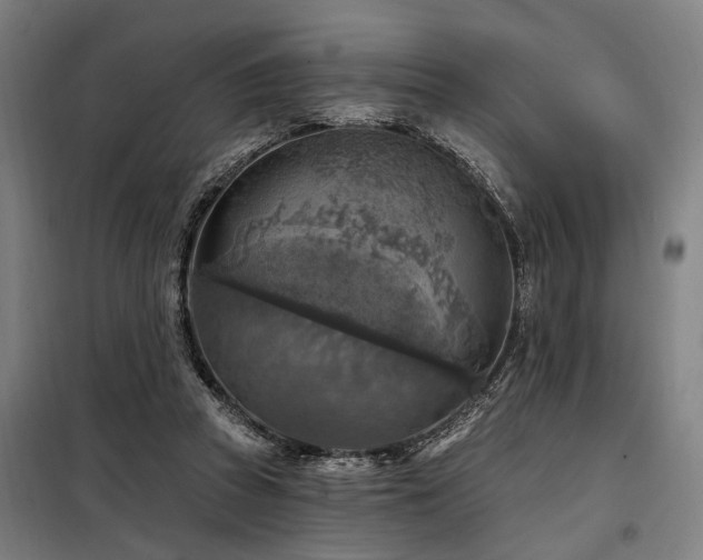 X0000098170353200804241201