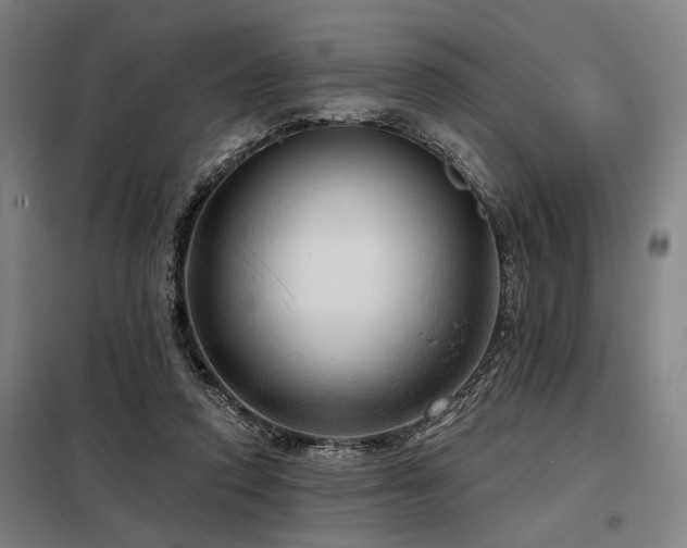 X0000098170354200804241201