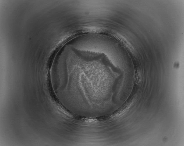 X0000098170355200804241201