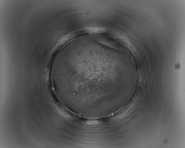 X0000098170357200804241201