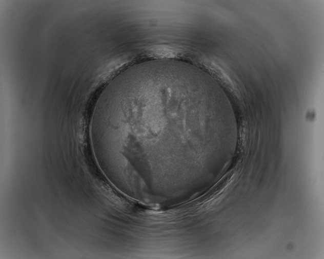 X0000098170359200804241201