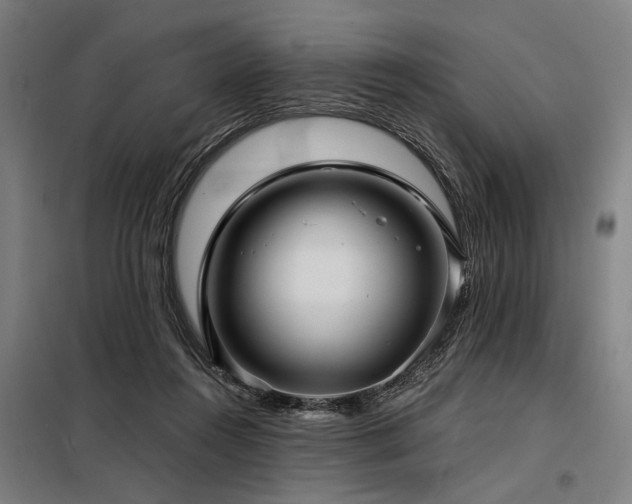 X0000098170360200804241201