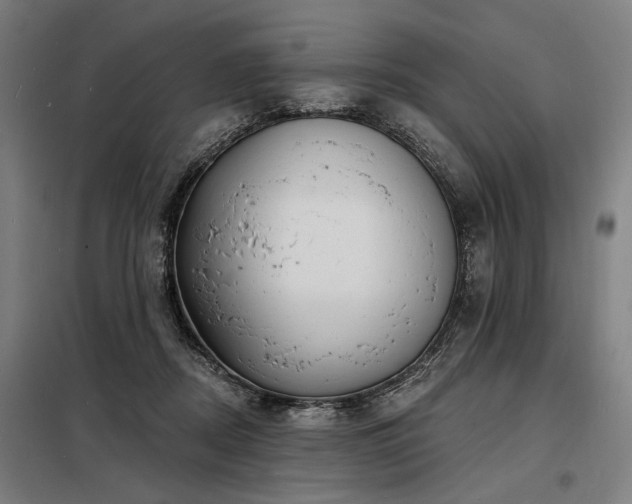 X0000098170362200804241201