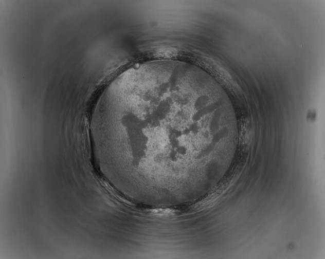 X0000098170363200804241201