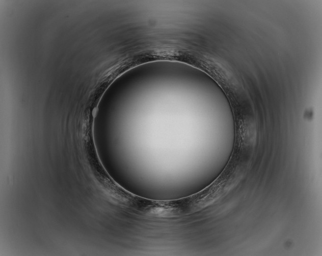 X0000098170364200804241201