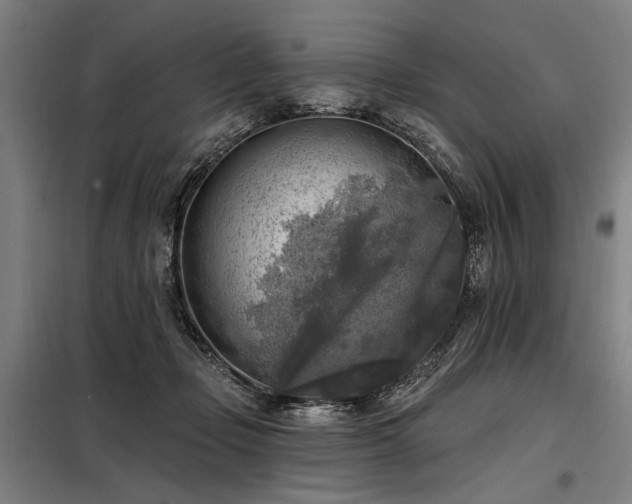 X0000098170365200804241201