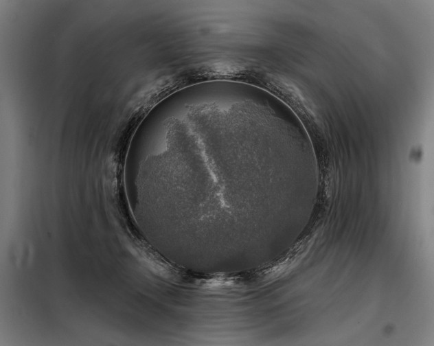 X0000098170366200804241201