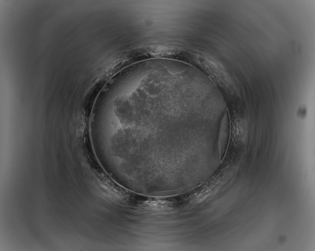 X0000098170367200804241201