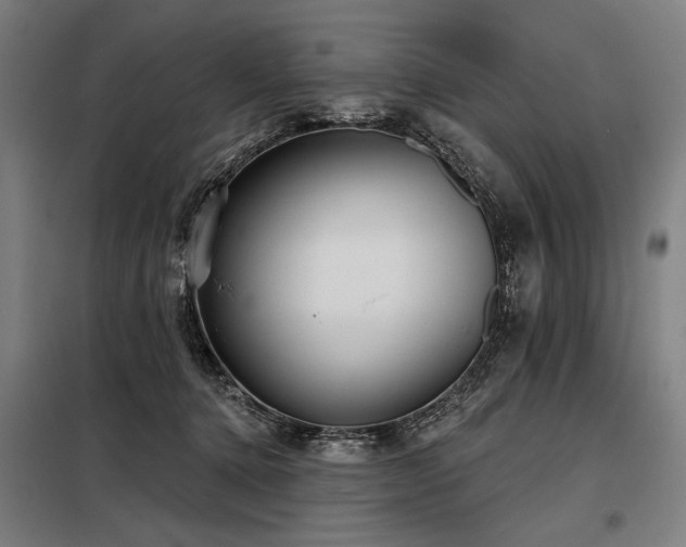 X0000098170368200804241201