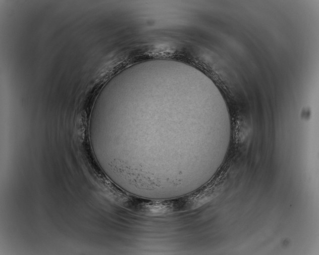 X0000098170370200804241201