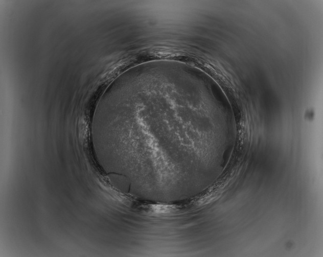 X0000098170371200804241201