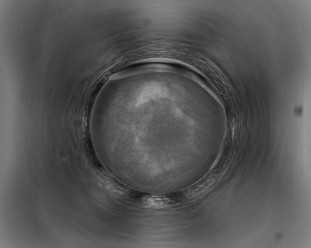 X0000098170372200804241201