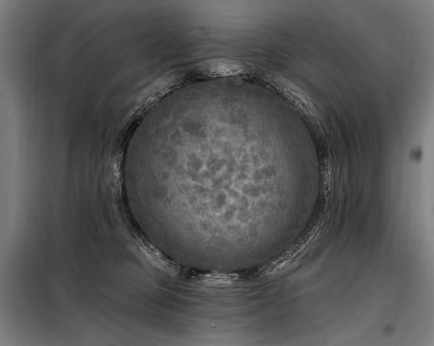 X0000098170373200804241201