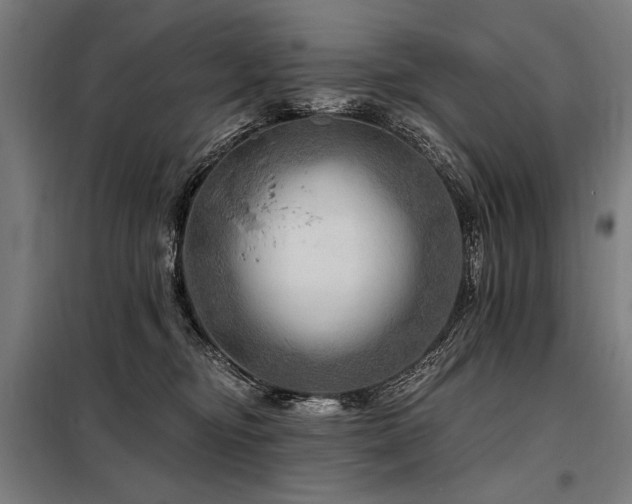 X0000098170374200804241201