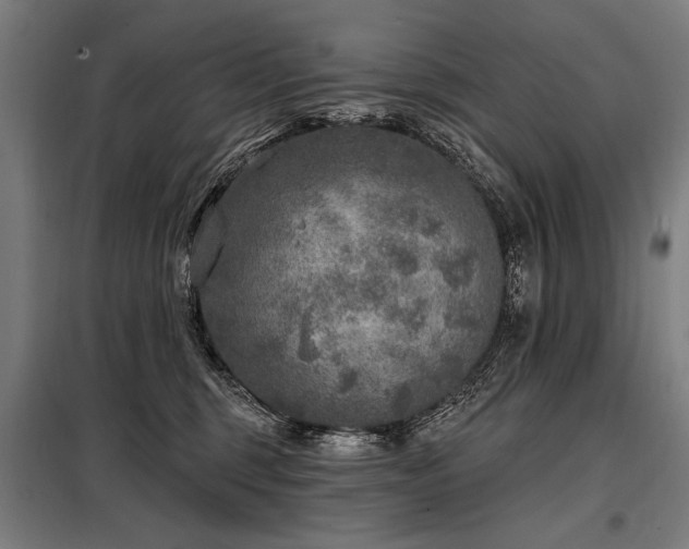 X0000098170375200804241201