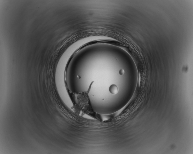 X0000098170376200804241201