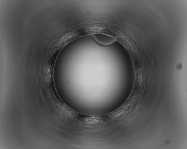 X0000098170378200804241201