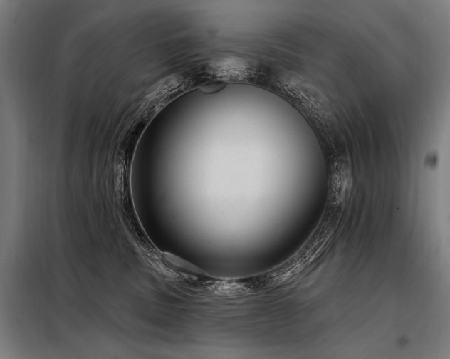 X0000098170379200804241201