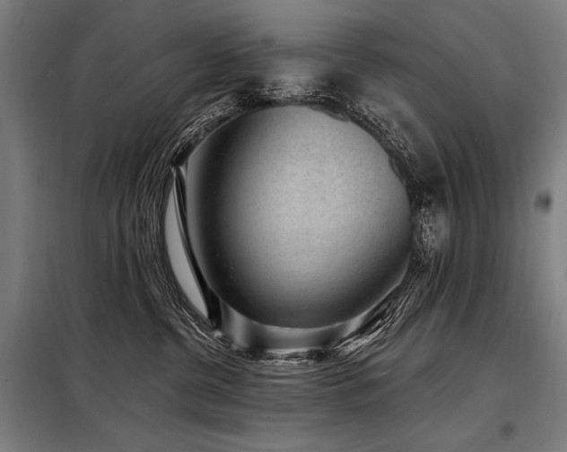 X0000098170380200804241201