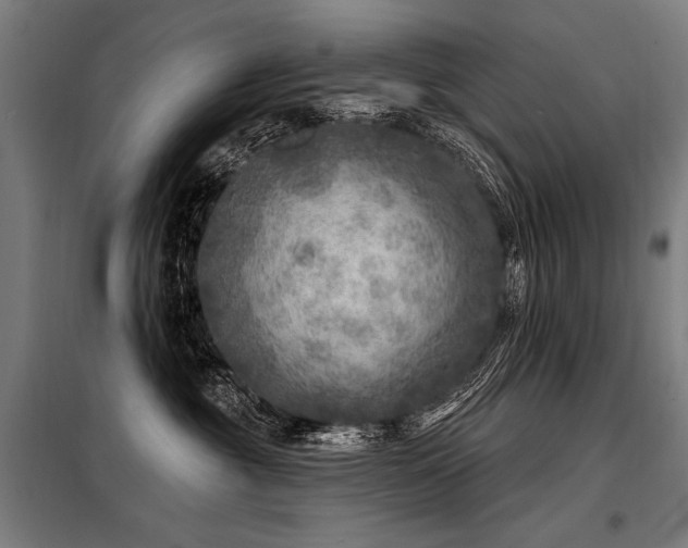 X0000098170381200804241201