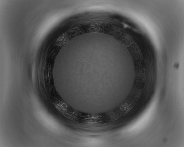 X0000098170382200804241201