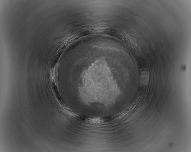 X0000098170383200804241201