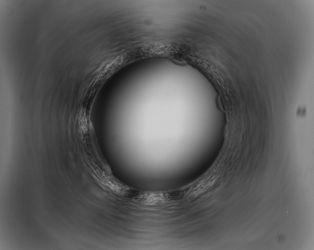 X0000098170384200804241201