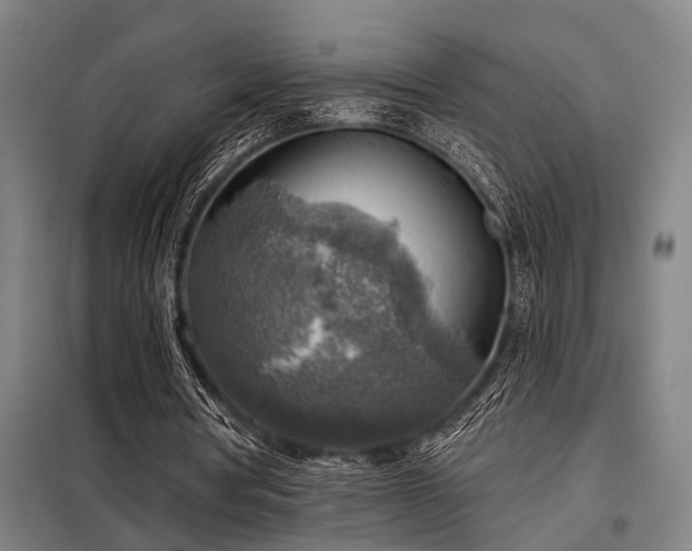 X0000098170386200804241200