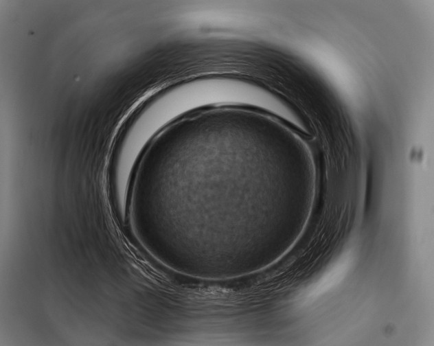 X0000098170387200804241200