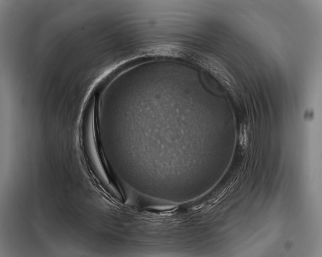 X0000098170388200804241200