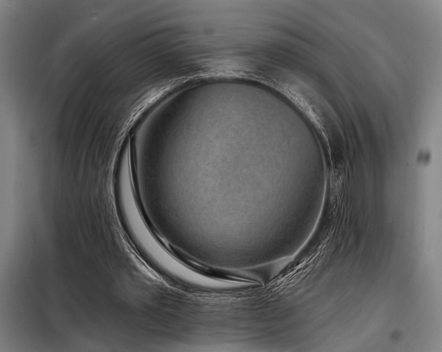 X0000098170389200804241200