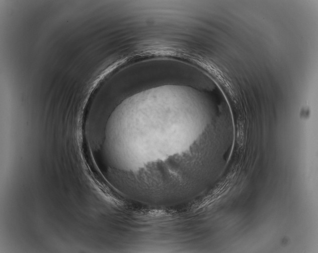 X0000098170390200804241200