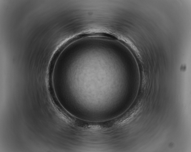 X0000098170391200804241200